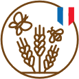BLÉ FRANÇAIS FILIÈRE RESPONSABLE